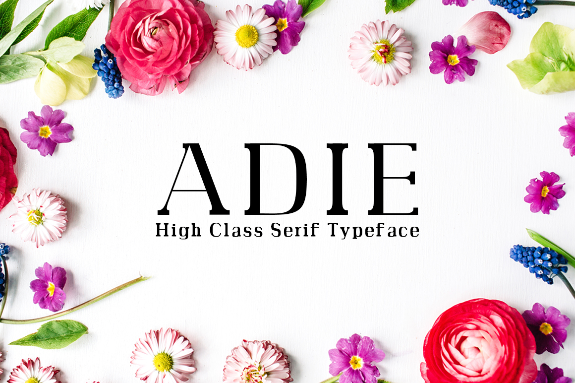 Adie Typeface Review: Elevating Digital Campaigns with Modern Serif Design
