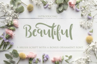 Beautiful Font Review: Elevating Social Campaigns with Brush Script