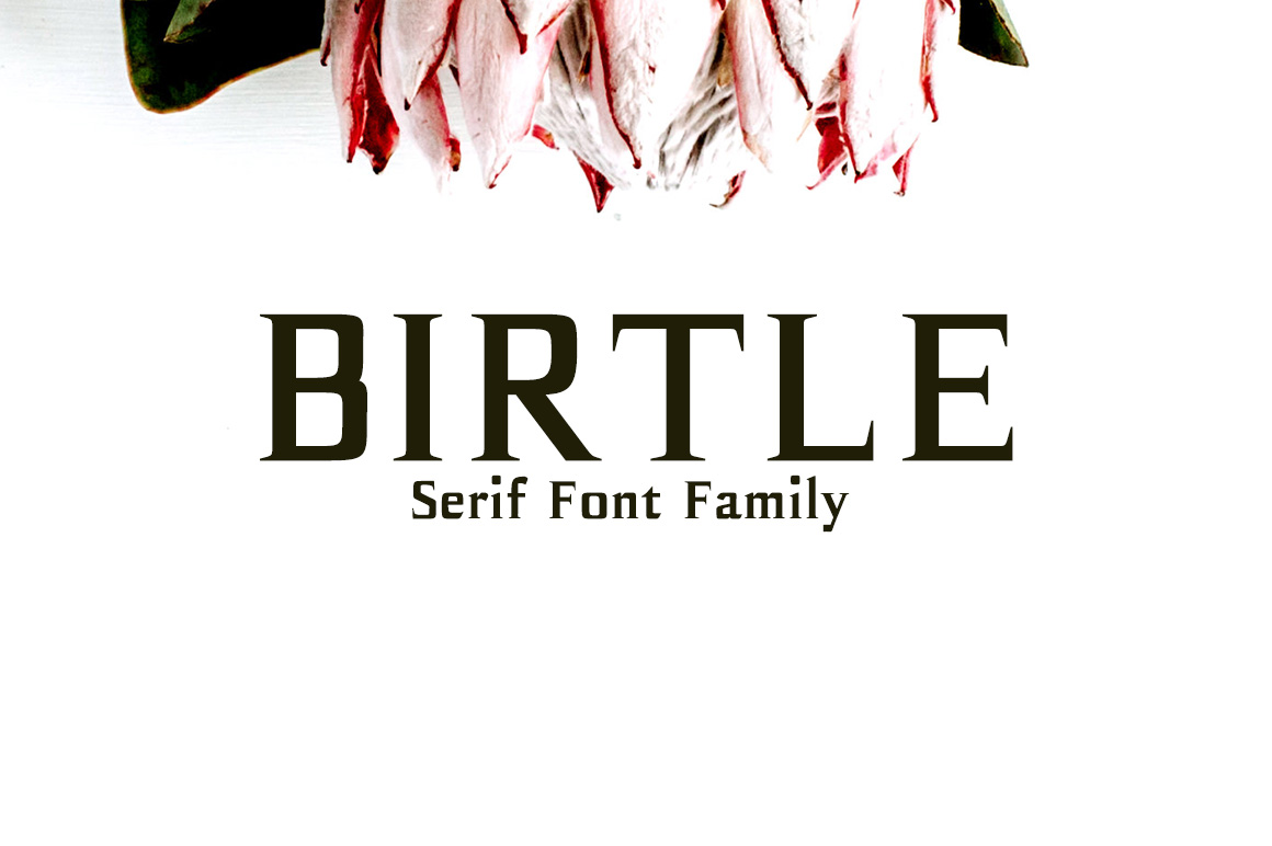 Birtle: A Contemporary Square Serif for Modern Craft Brands