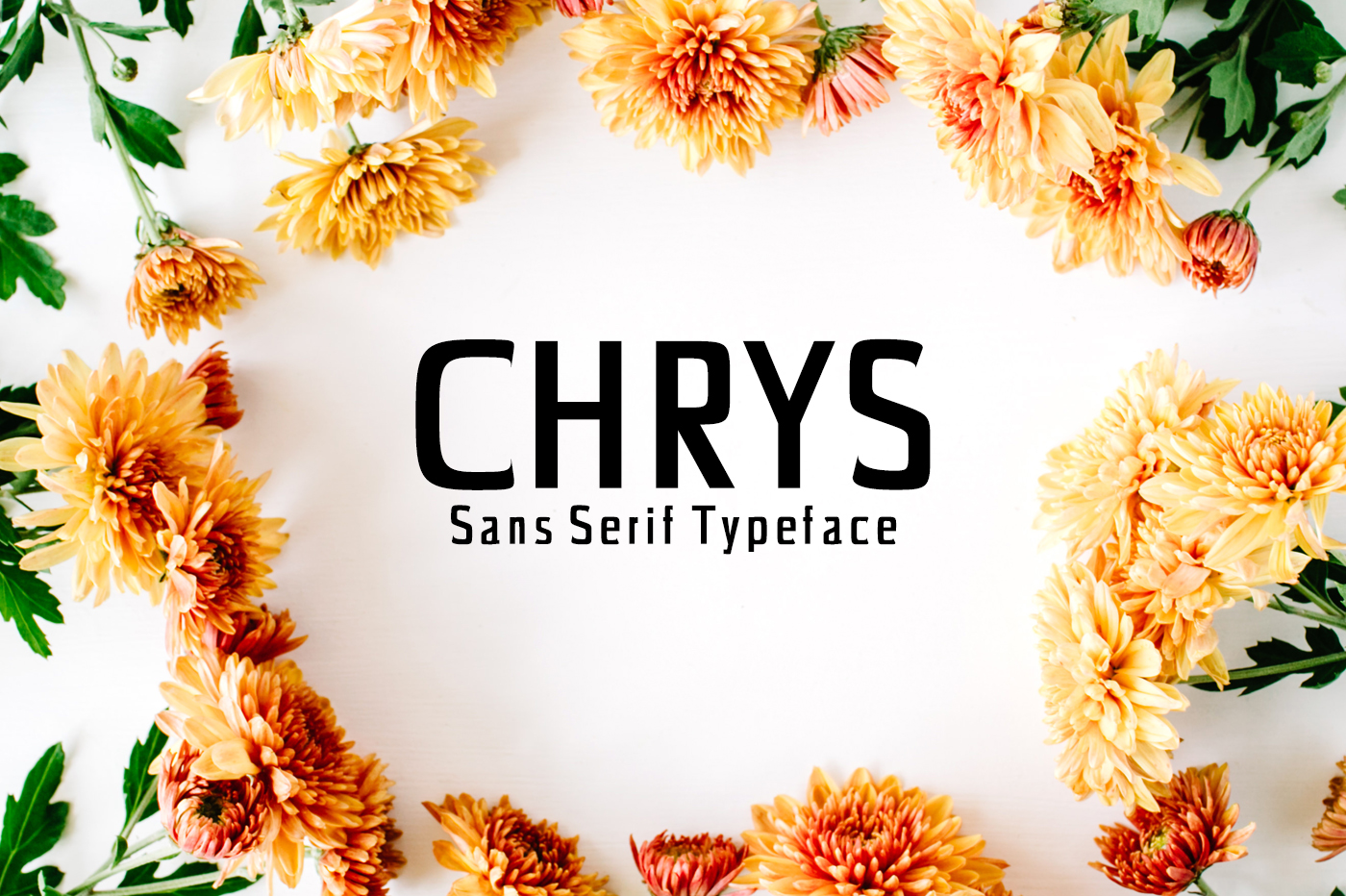Chrys: A Bold Sans Serif for Modern Editorial Design