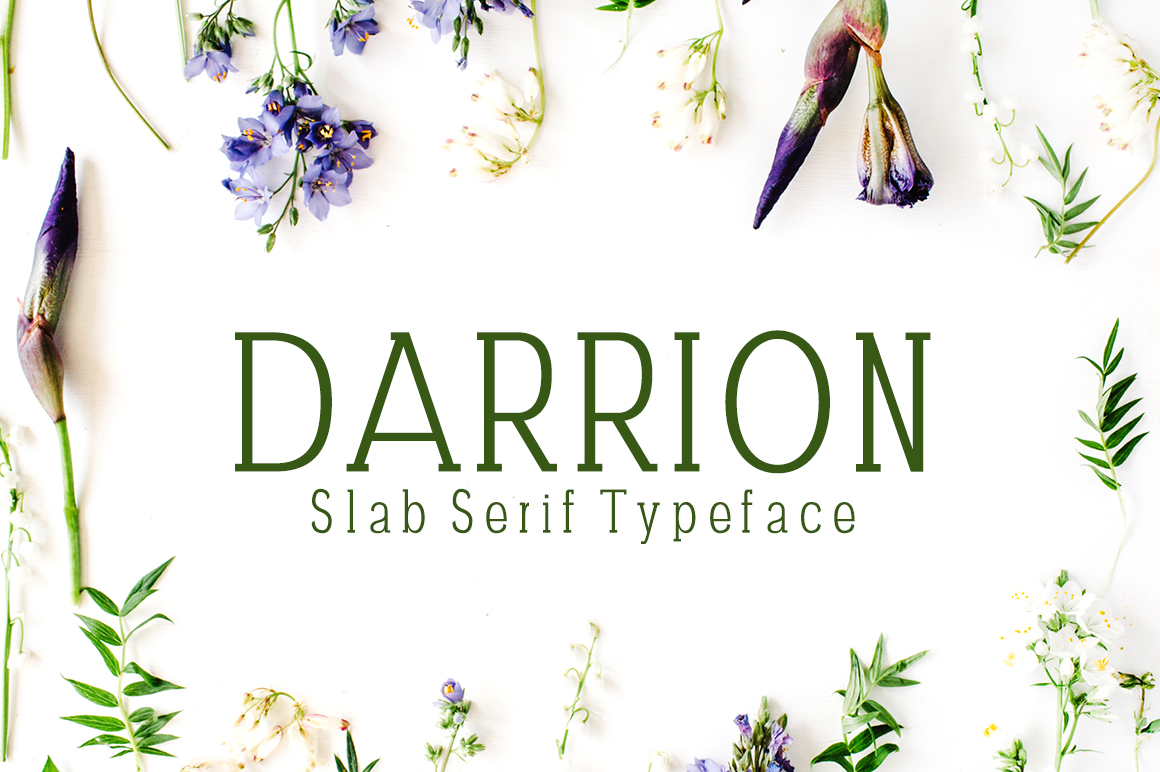 Darrion Slab Serif Font for Bold Brand Identity