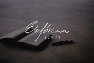 Euforica Script Handwritten Font for Modern Web Design