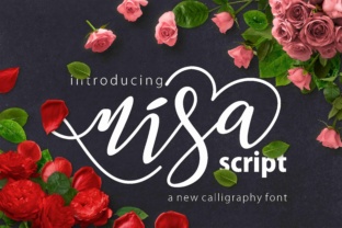 Nisa: The Modern Script Handwritten Font for Campaign Visuals