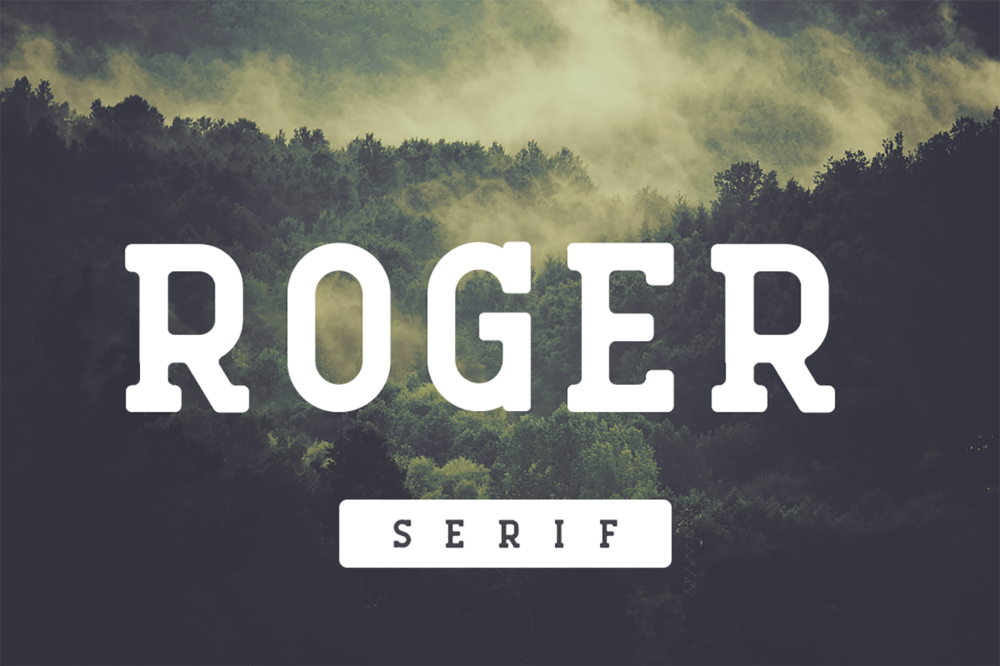 Roger Serif: The Vintage Slab Typeface for Modern Makers