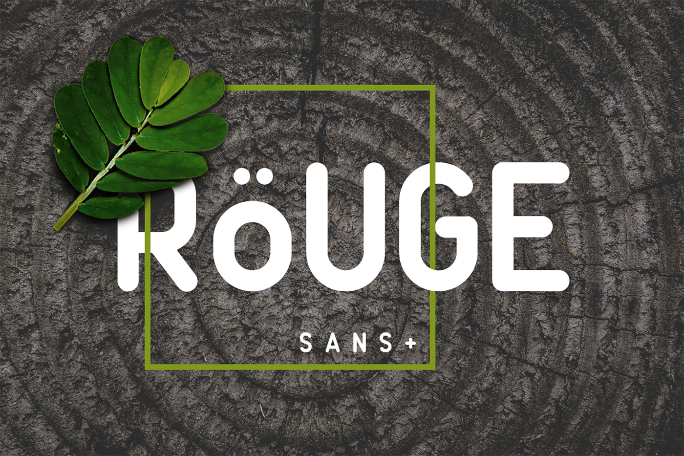Rouge Sans Typeface for Modern Web Layouts