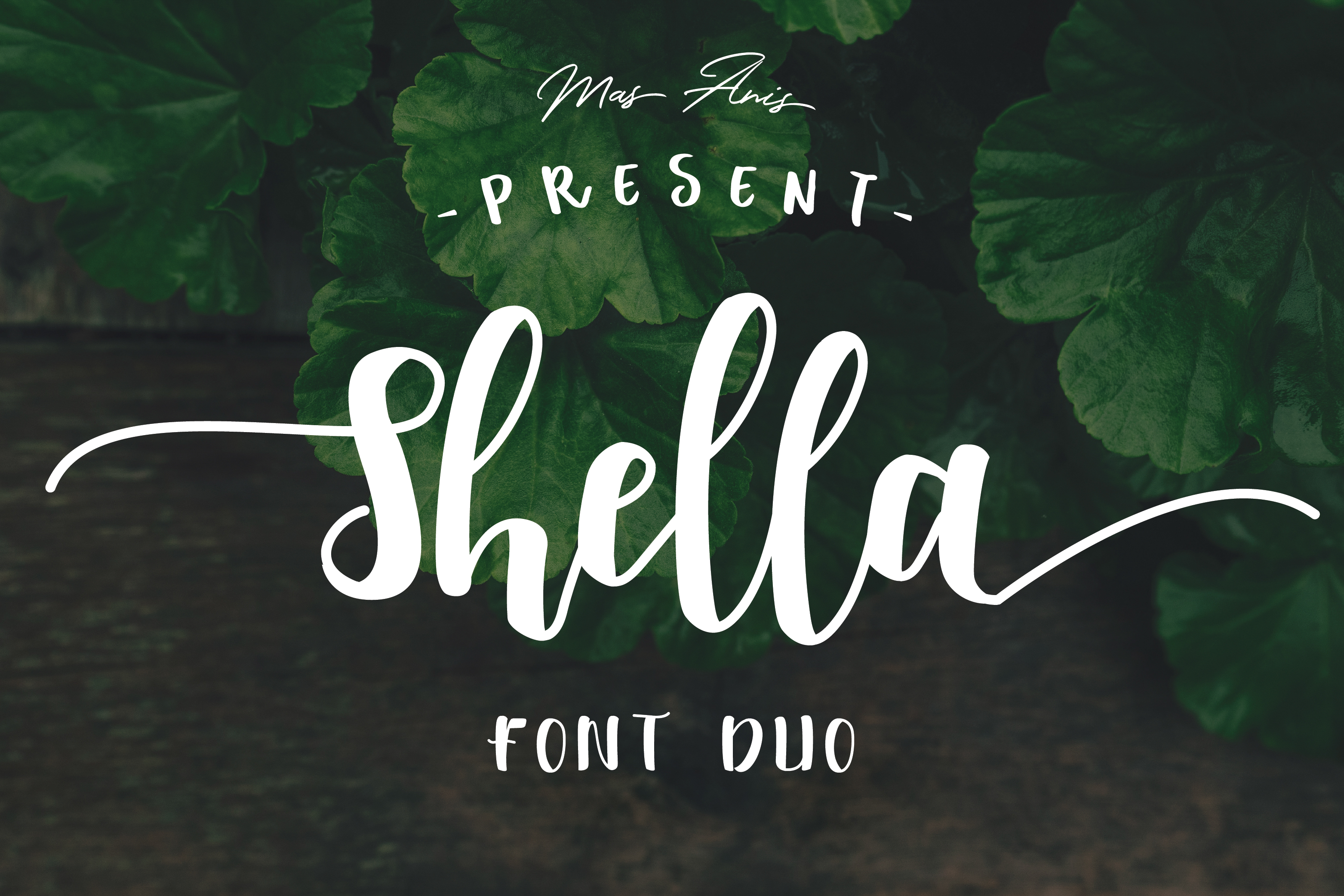Shella Typeface Review: A Cozy Script Duo for Editorial Design