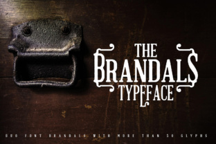 The Brandals: A Retro Serif Typeface for Modern Digital Design