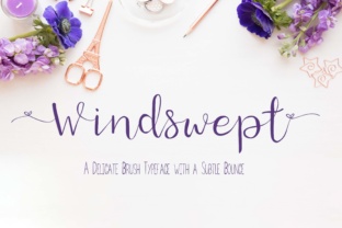 Windswept Brush Font for Elegant Web Design